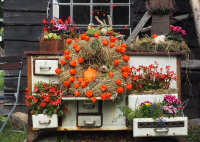 Ein alter Herd ist zu Dekorationszwecken mit Blumen bepflanzt.