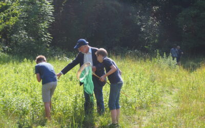 Am 03.09.2025: Unterwegs mit Kescher und Mikroskop im Freilichtmuseum